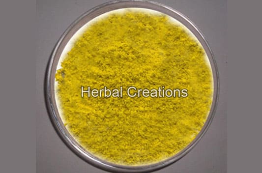 berberine hydrochloride extract supplier in india