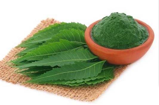 neem extract supplier india