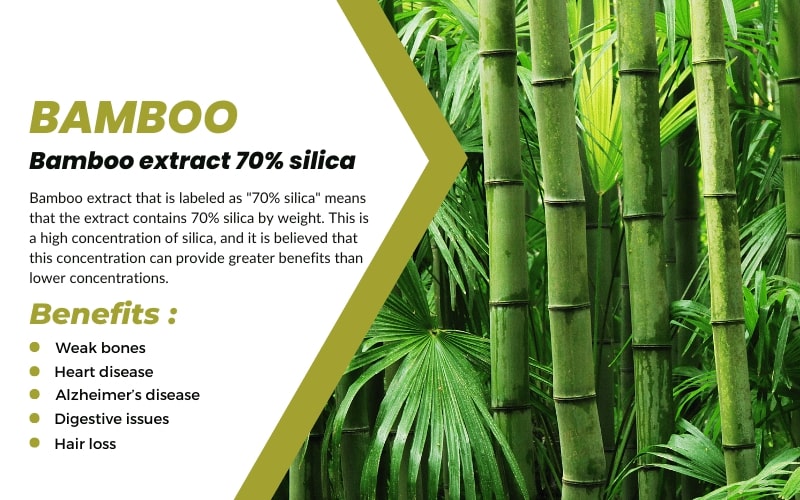 Bamboo Extract