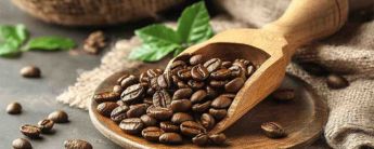 Health Benefits of Coffea Arabica Extract