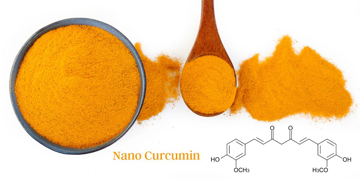 Nano Curcumin extract supplier in india