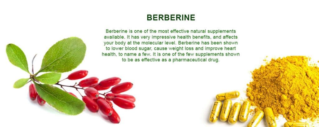 Berberine | Natural supplements | Berberine extract supplier | Herbal  Creations