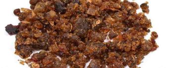 Health Benefits of Guggul Extract