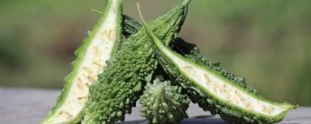 Benefits of Bitter Melon