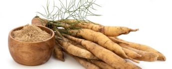 Health Benefits of shatavari Extract