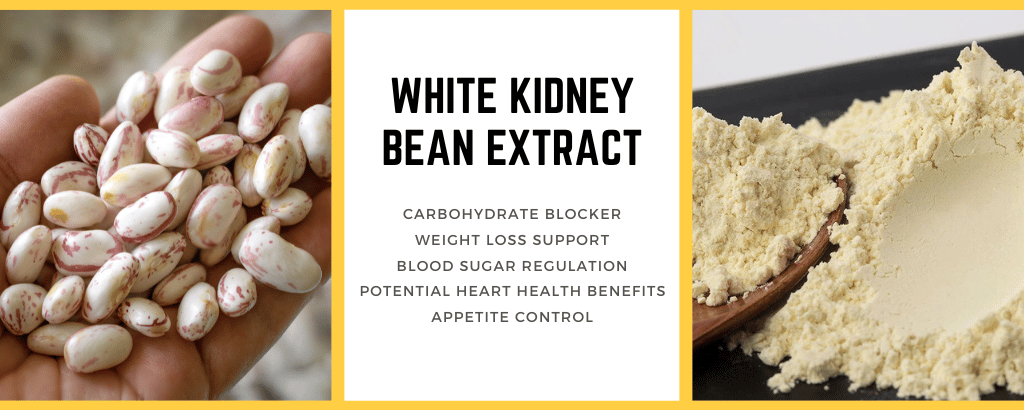White Kidney Bean Extracts Benefits