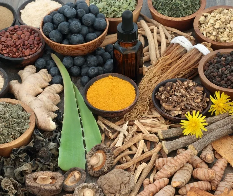 Herbal Extract Manufacturers in India