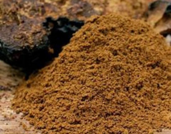 Shilajit extract supplier