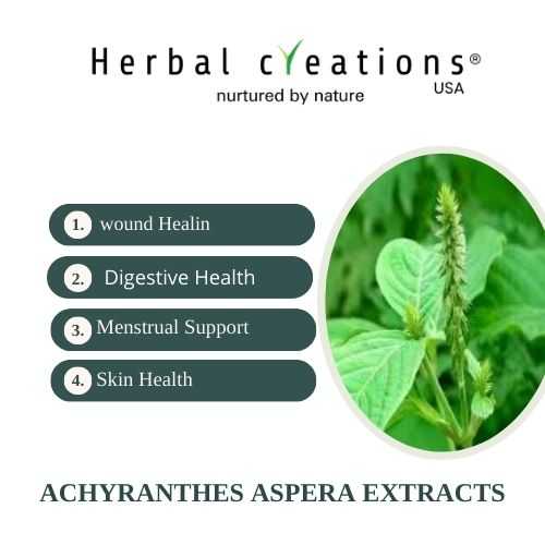Achyranthes Aspera extracts supplier