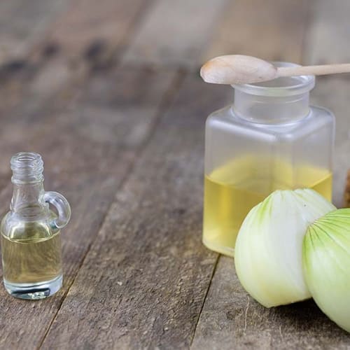 Onion Extract Supplier India