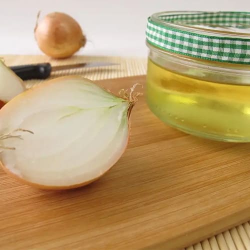 Onion Extract Manufacturer India