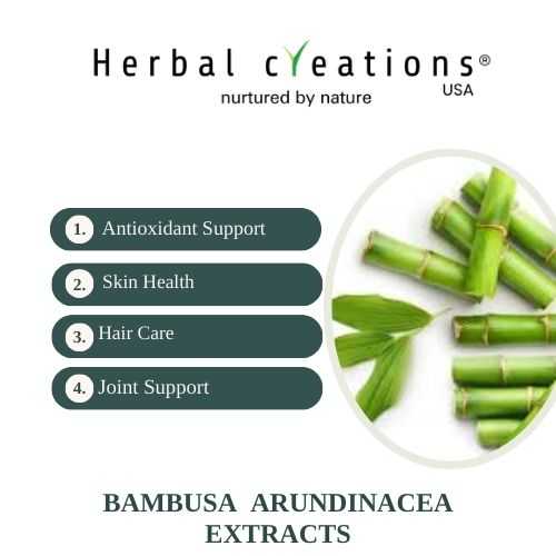 Bambusa arundinacea extracts supplier
