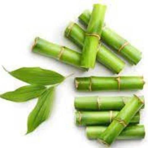 Bambusa arundinacea extracts wholesaler