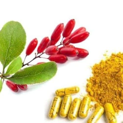 Withania somnifera Extract wholesaler in usa