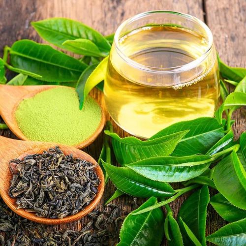 Camellia Sinensis Extracts | Herbal Creations