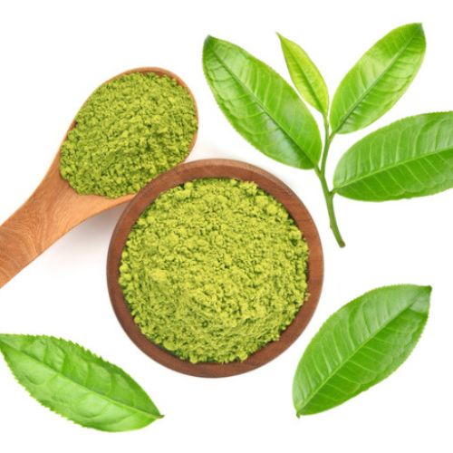 Camellia Sinensis Extracts Leaves