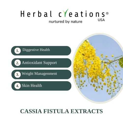 Cassia Fistula Extracts Supplier in USA