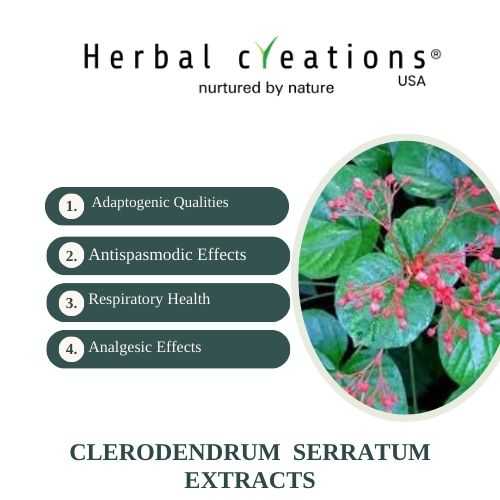 Clerodendrum Serratum Extracts supplier