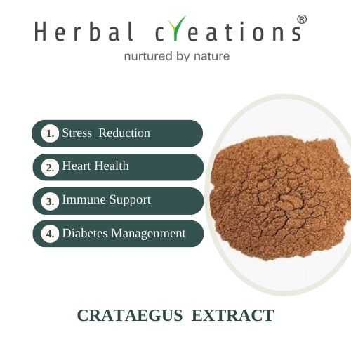 Crataegus (Hawthorn) Extracts Supplier And Manufacturer | Herbal Creations