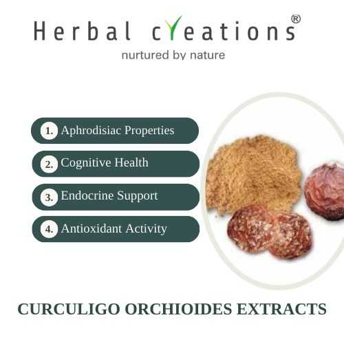 Curculigo orchioides Extracts Supplier or Manufacturer | Herbal Creations