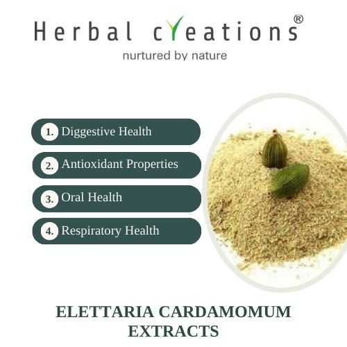 Elettaria Cardamomum (Elaichi) Extracts Supplier & Manufacturer | Herbal Creations