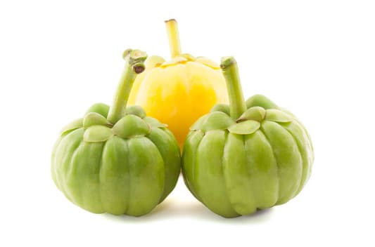 Garcinia Cambogia Extract