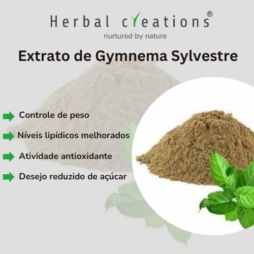 Extrato de Gymnema Sylvestre