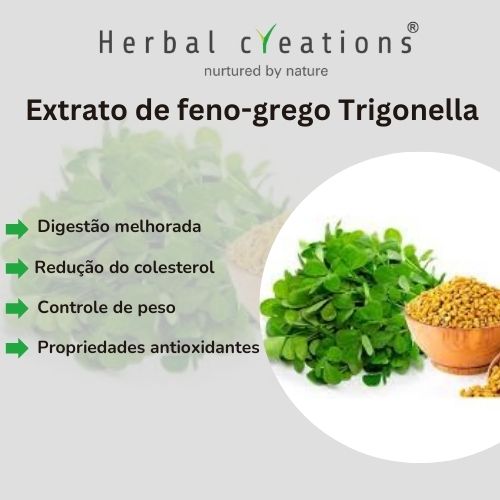 Extrato de Trigonella Foenum-Graecum