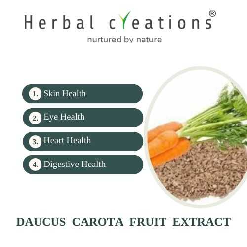 Daucus Carota Fruit (Gajar Fruit) Extracts Supplier