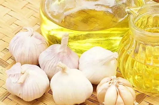 Garlic oil extract supplier manufacturers