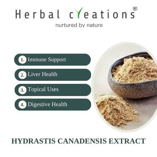 Hydrastis canadensis Extracts Supplier or Manufacturer | Herbal Creations