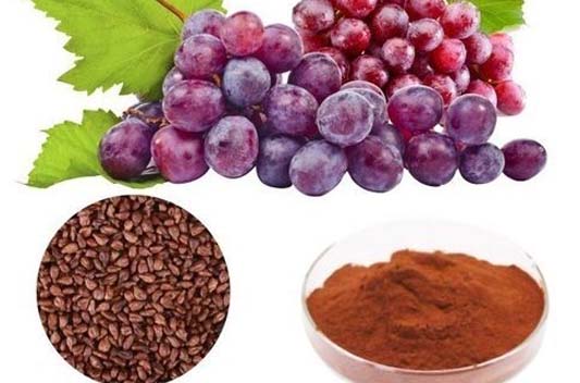 Grape Seed extract suppliers and manufacturers