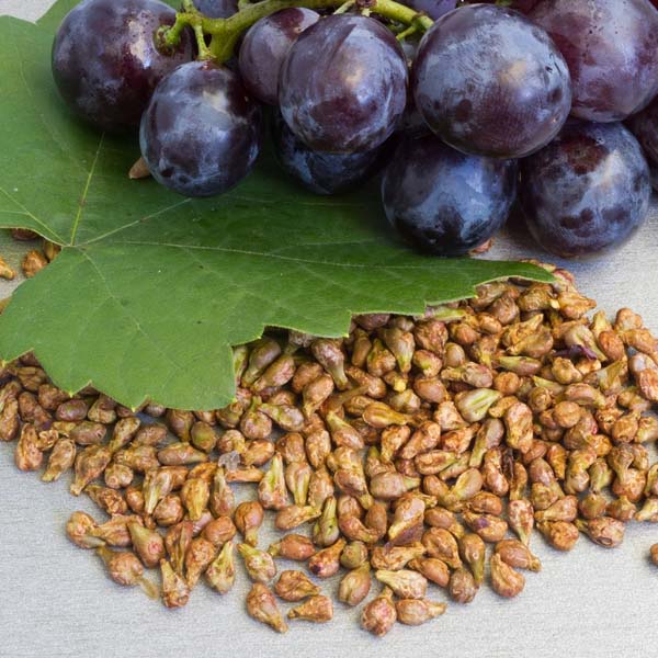 Grapes Seed Extract