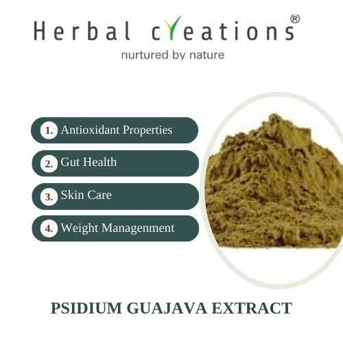 Psidium guajava extracts Supplier,Manufacturer,exporter
