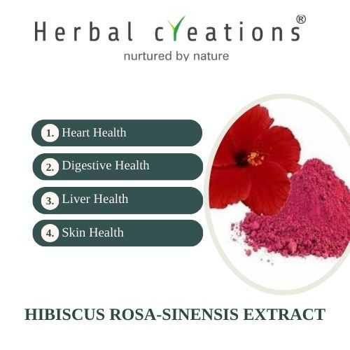 Hibiscus Rosa Sinensis (Gudhal) Extracts Supplier & Manufacturer