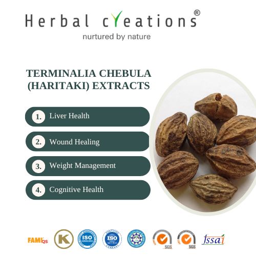 Terminalia Chebula (Haritaki) Extracts Supplier & Manufacturer