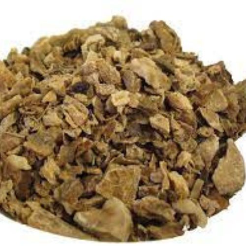 Harpagophytum Procumbens (Devil's Claw) Dried | Herbal Creations 