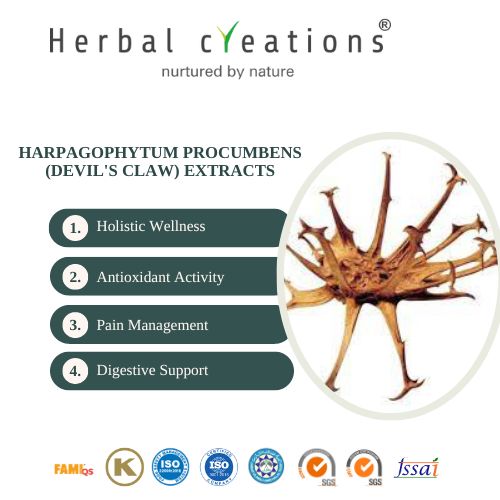 Harpagophytum Procumbens (Devil's Claw) Extracts Supplier & Manufacturer