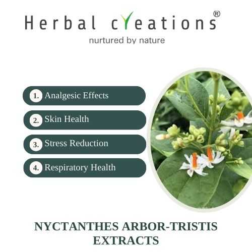 NYCTANTHES ARBOR-TRISTIS (HARSINGAR) Extracts Supplier & Manufacturer