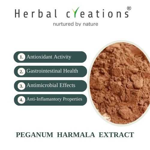 Peganum Harmala (Hermal) Extracts Supplier & Manufacturer