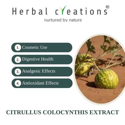 manufacturer of Citrullus Colocynthis extracts