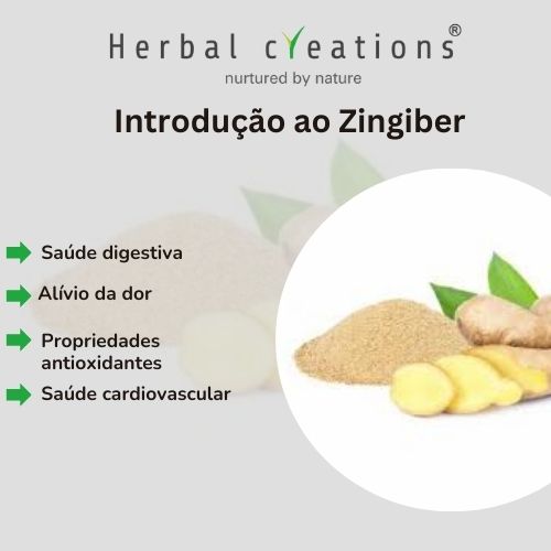 Extrato de Zingiber Officinale