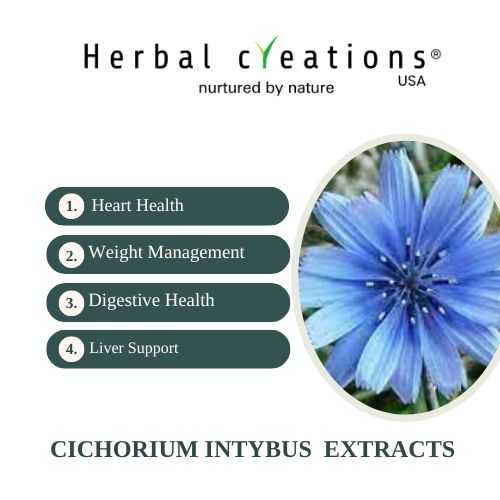 Cichorium Intybus Extracts supplier in usa