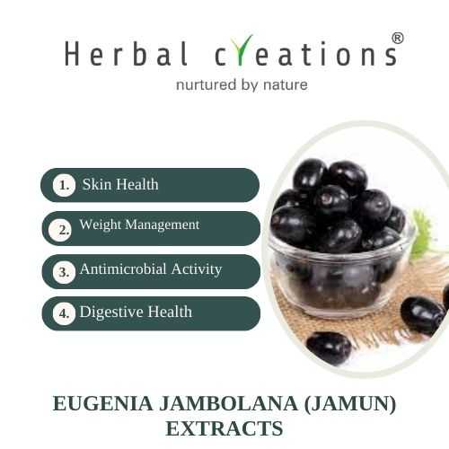 Eugenia Jambolana Extracts Supplier And Manufacturer