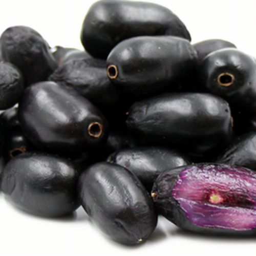 jamun extracts exporter
