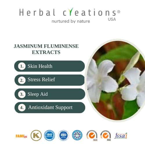 Jasminum fluminense extracts exporter