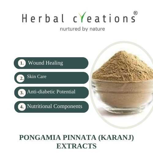Premium Pongamia pinnata (Karanj) Extracts Supplier Manufacturer