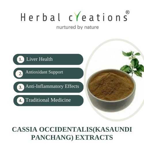 Cassia occidentalis Extracts Supplier