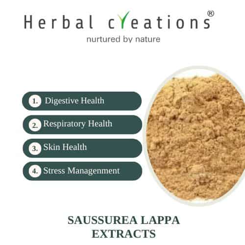 Saussurea Lappa (Kuth) Extracts Supplier 