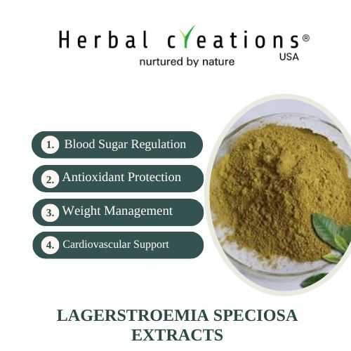 Lagerstroemia speciosa extracts supplier